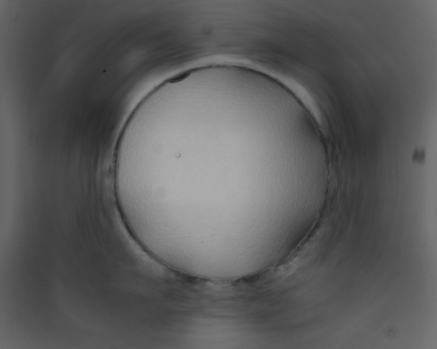 X0000089430911200707131841