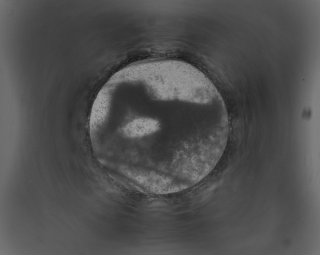 X0000089430913200707131841