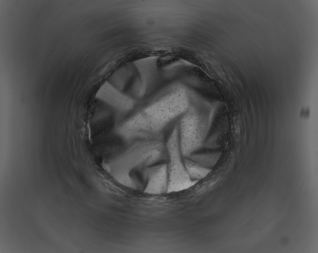 X0000089430916200707131841