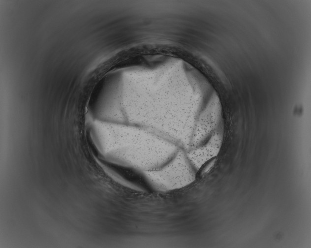 X0000089430919200707131841