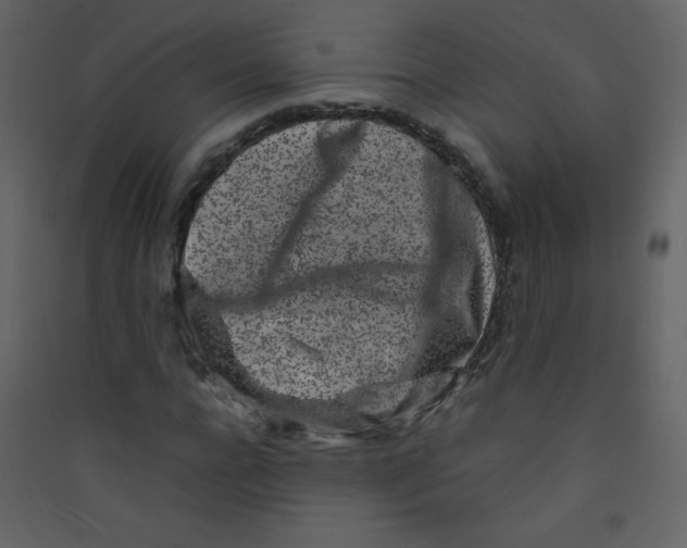 X0000089430920200707131841