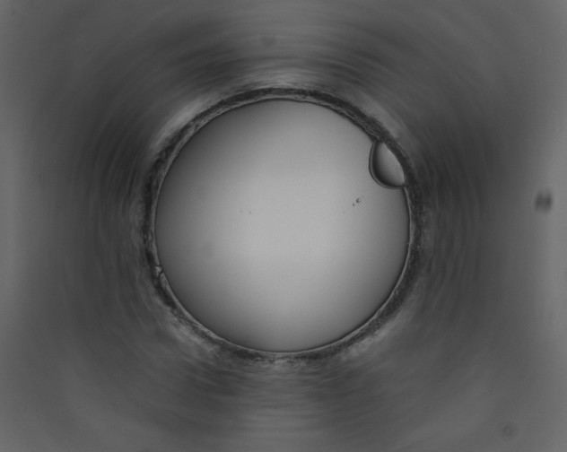 X0000089430922200707131841