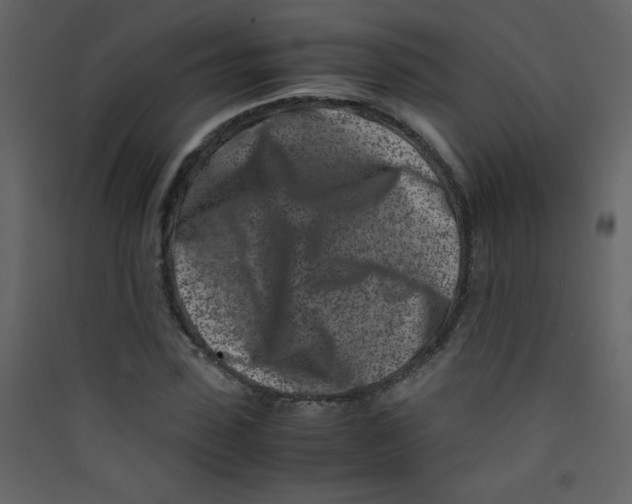 X0000089430923200707131841