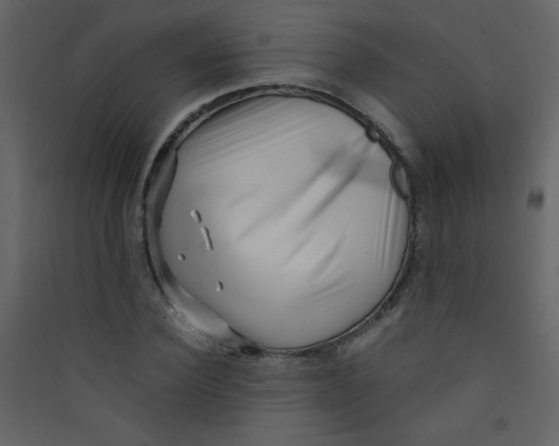 X0000089430924200707131841