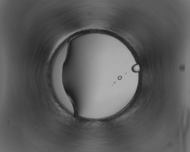 X0000089430926200707131841