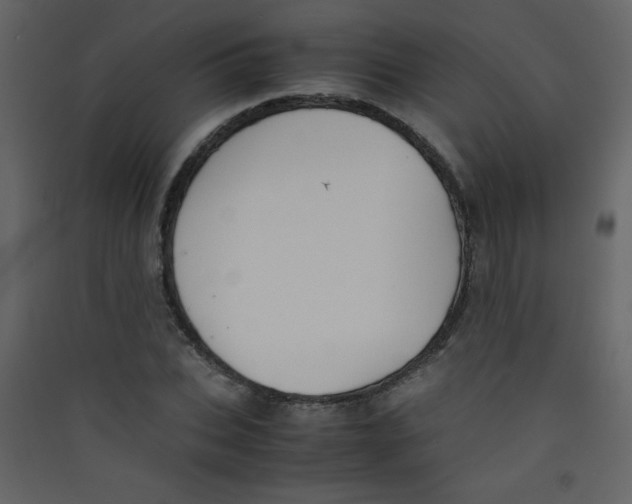 X0000089430927200707131841