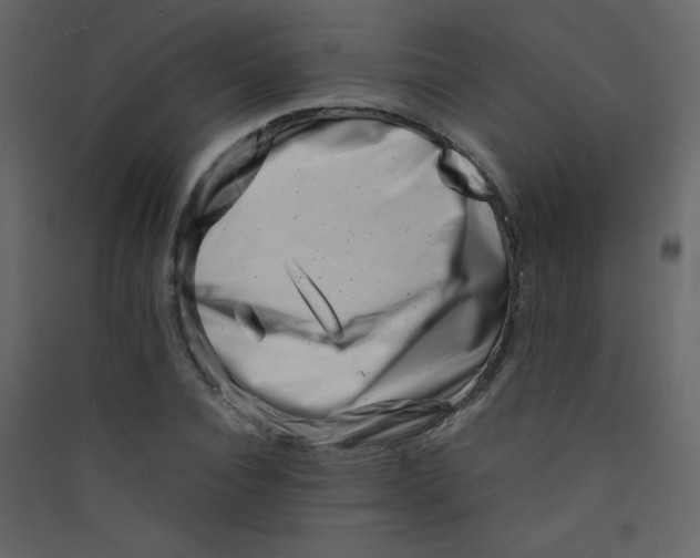 X0000089430928200707131841