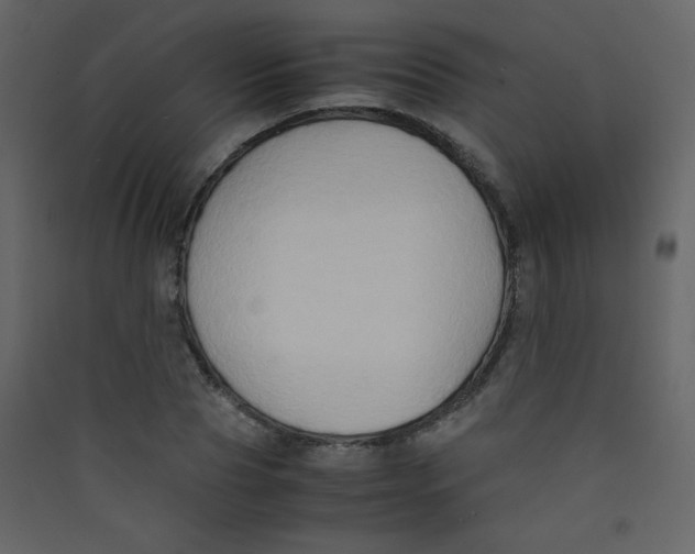 X0000089430929200707131841