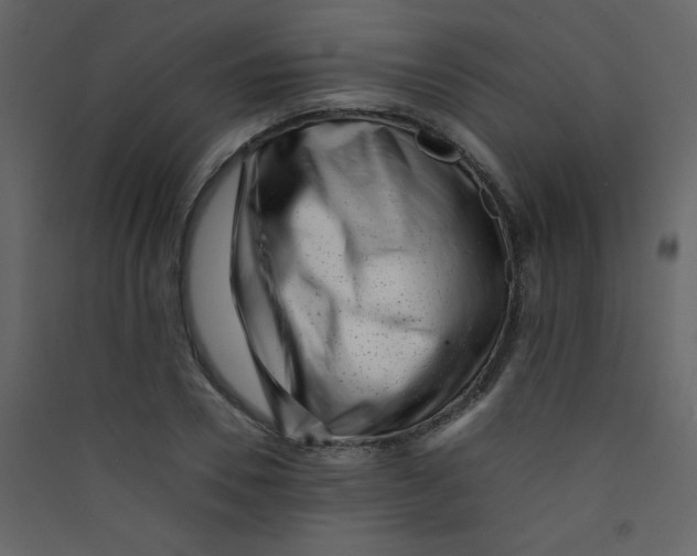 X0000089430930200707131841