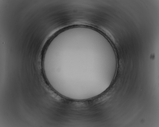 X0000089430931200707131841