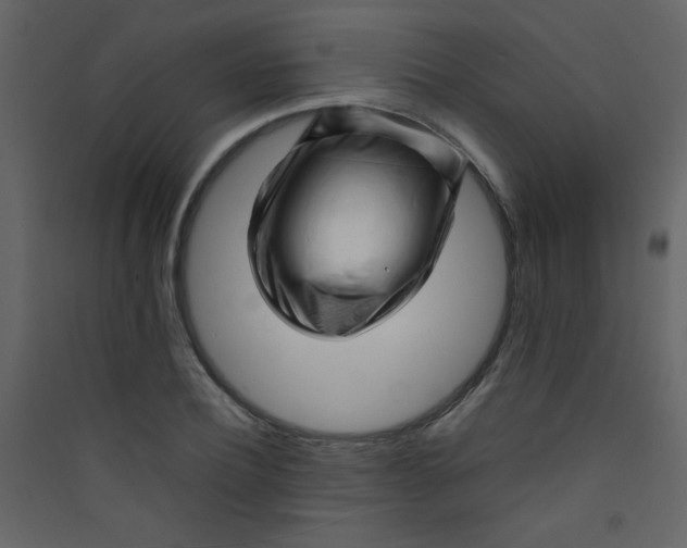 X0000089430932200707131841