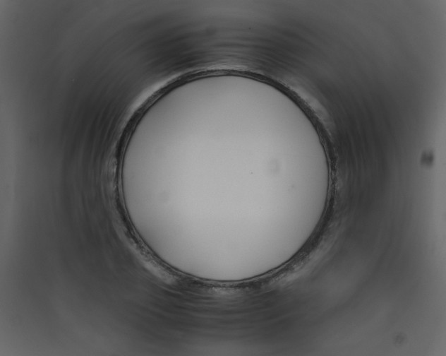 X0000089430933200707131841