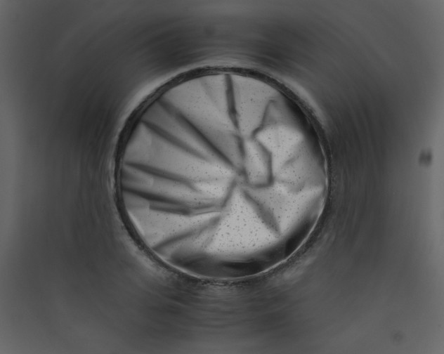 X0000089430935200707131841