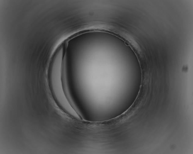 X0000089430936200707131841