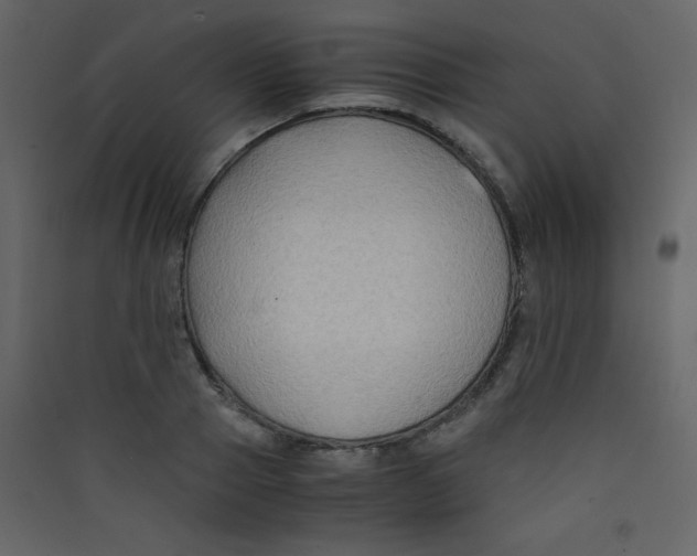 X0000089430937200707131841