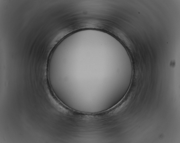 X0000089430938200707131841