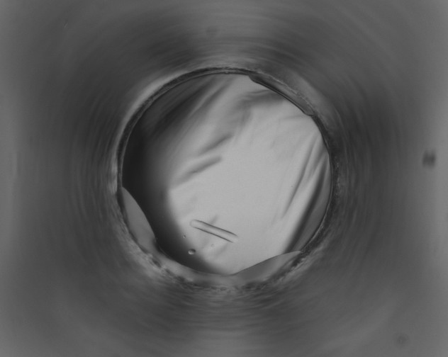 X0000089430940200707131841