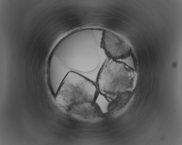 X0000089430941200707131841