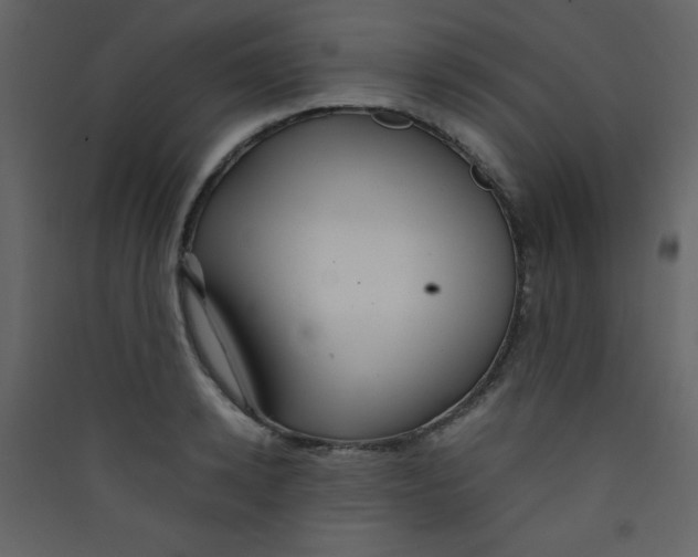 X0000089430942200707131841