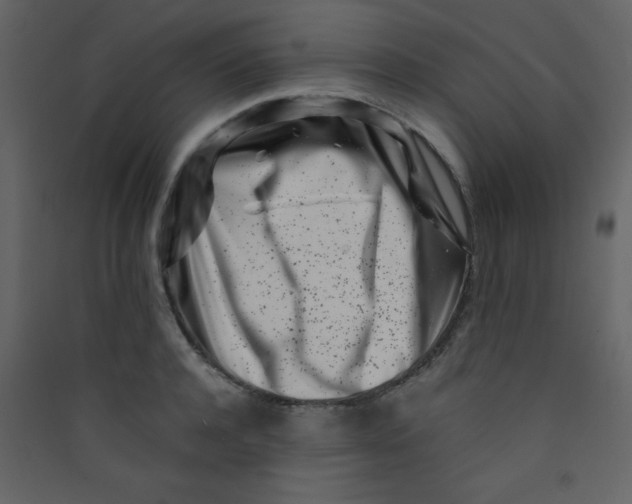 X0000089430944200707131841
