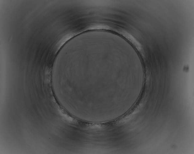 X0000089430945200707131841