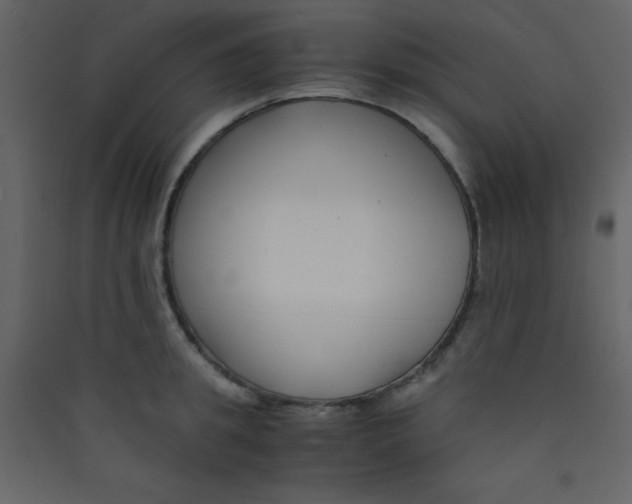 X0000089430949200707131841