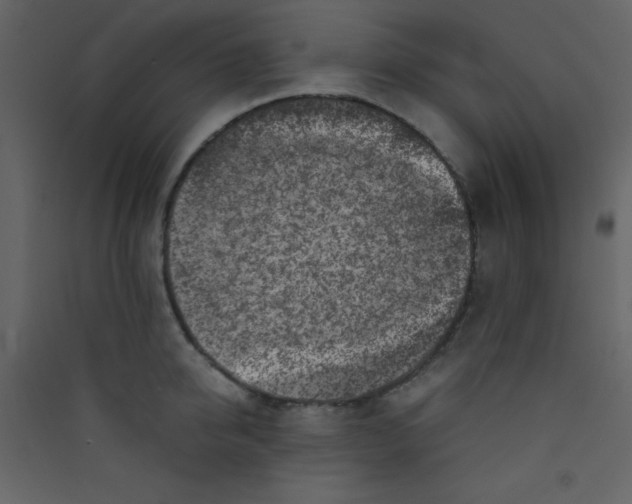 X0000089430950200707131841