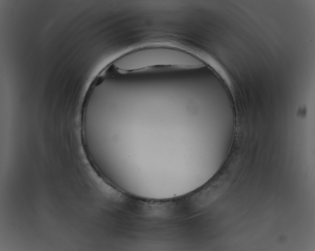 X0000089430951200707131841