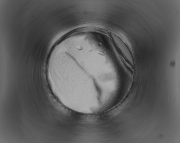 X0000089430952200707131841