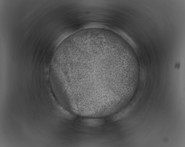 X0000089430953200707131841