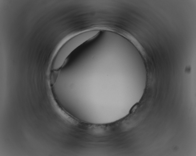 X0000089430955200707131841