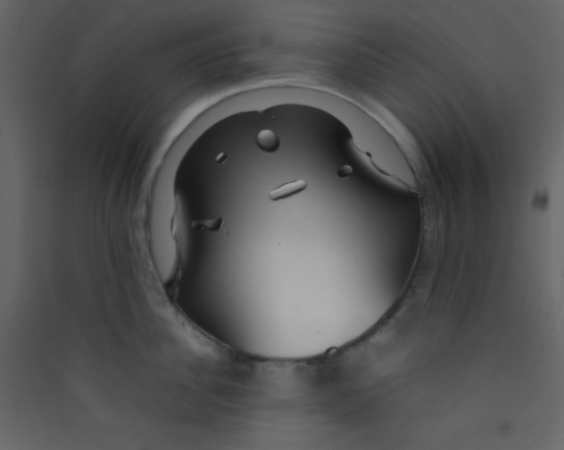 X0000089430956200707131841