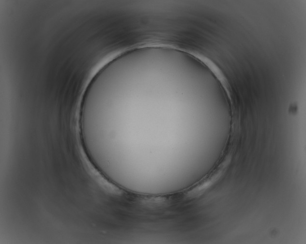 X0000089430957200707131841