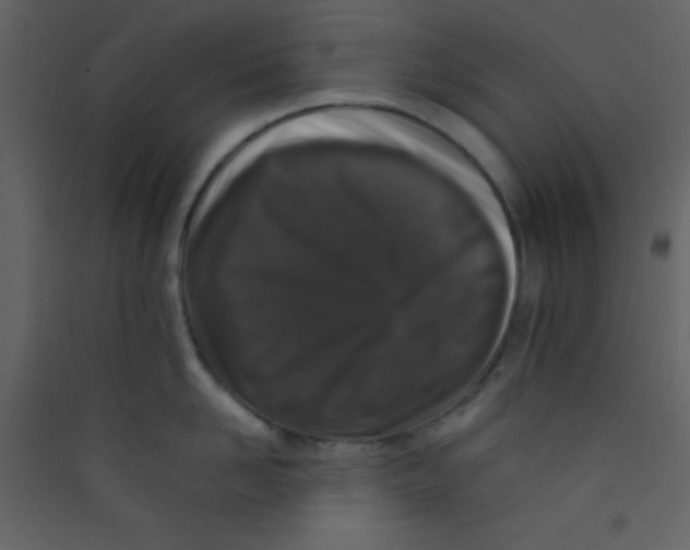 X0000089430958200707131841