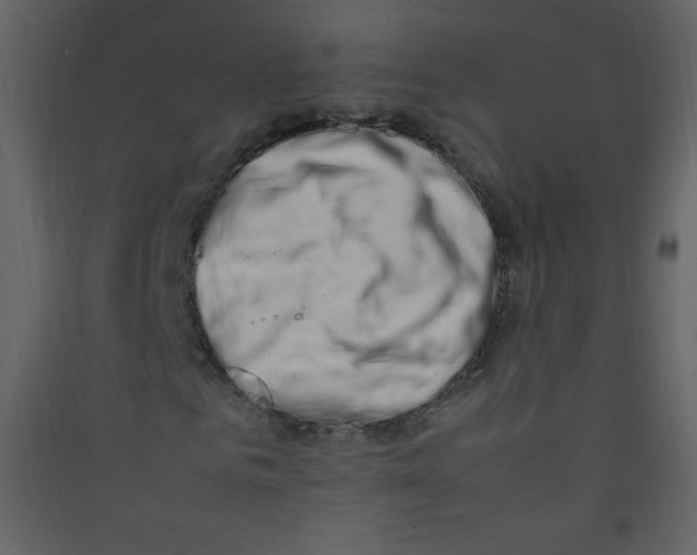 X0000089430961200707131841