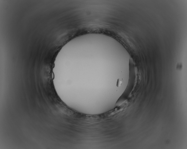 X0000089430964200707131841
