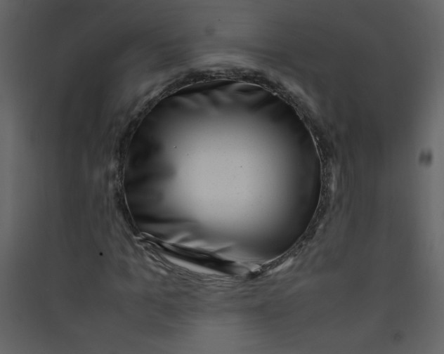 X0000089430965200707131841