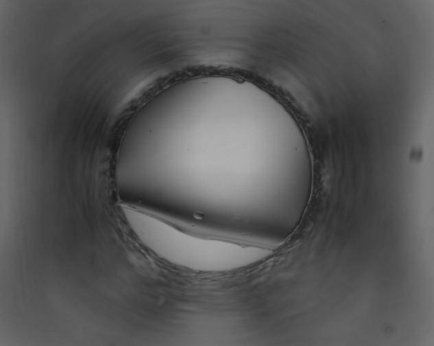 X0000089430968200707131841