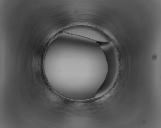 X0000089430969200707131841