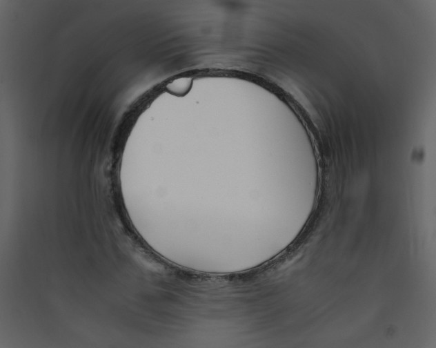 X0000089430971200707131841