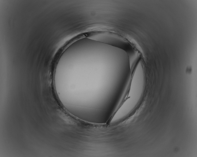X0000089430973200707131841