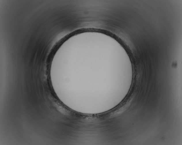 X0000089430974200707131841