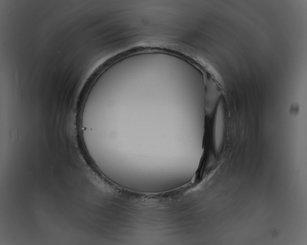 X0000089430976200707131841