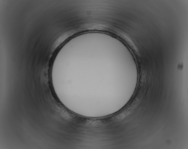 X0000089430978200707131841