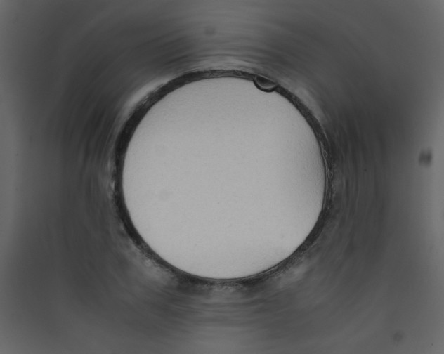 X0000089430979200707131841