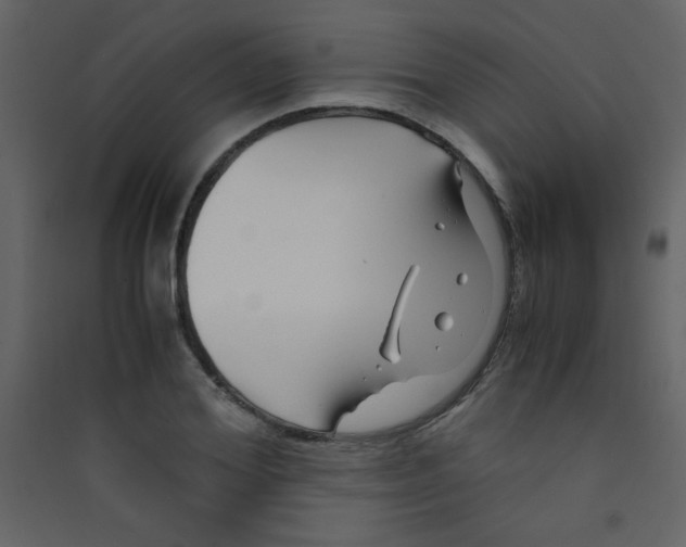 X0000089430980200707131841