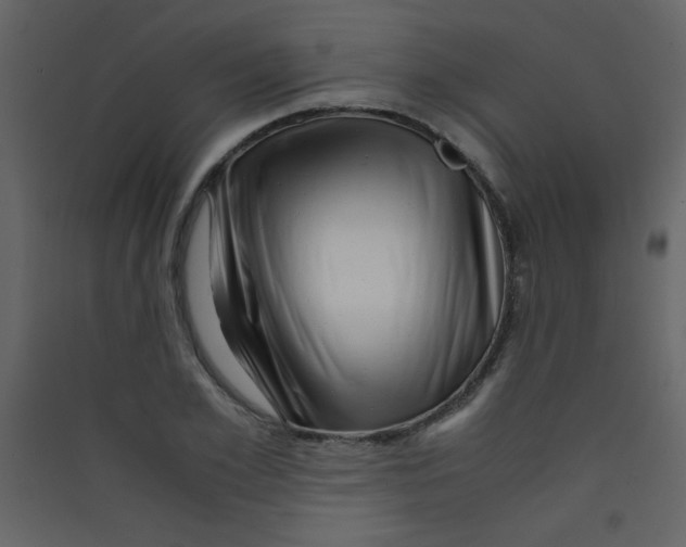 X0000089430981200707131840