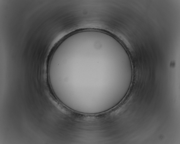 X0000089430982200707131840