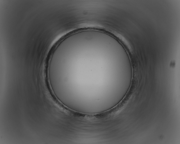 X0000089430983200707131840