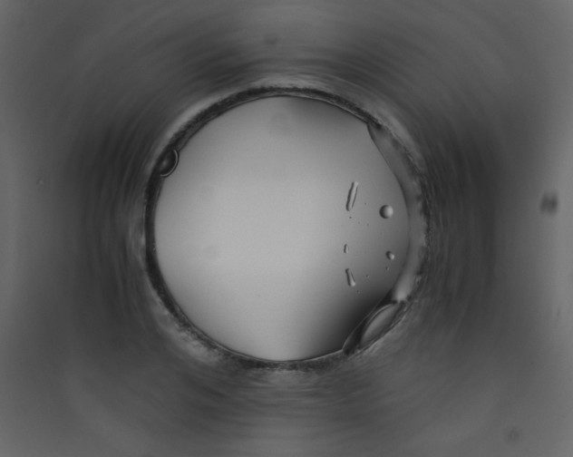 X0000089430984200707131840